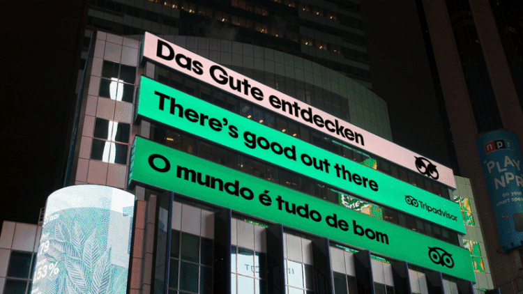 damijohnson com tripadvisor 12