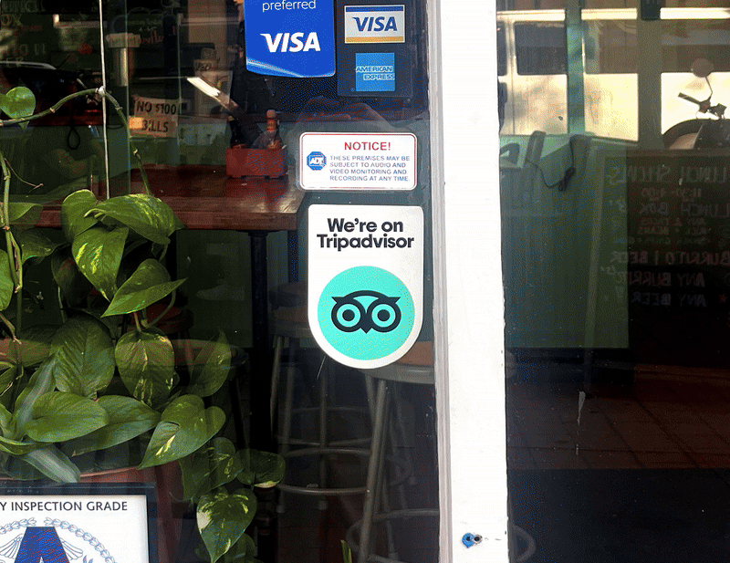 damijohnson com tripadvisor 3