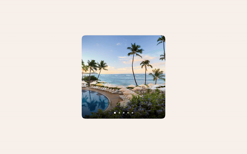 damijohnson com tripadvisor 4