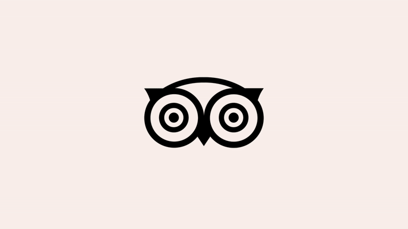 damijohnson com tripadvisor 5