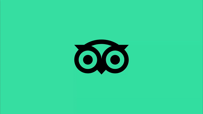 damijohnson com tripadvisor 7