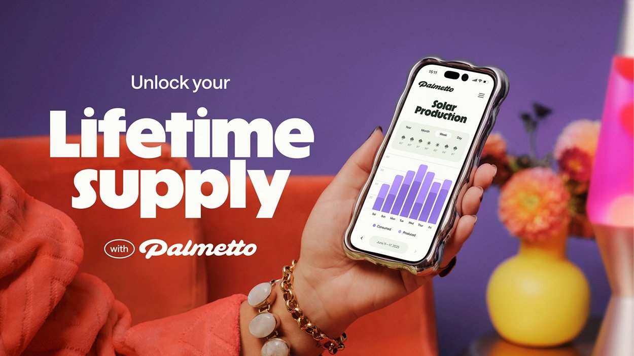 damijohnson com palmetto 10