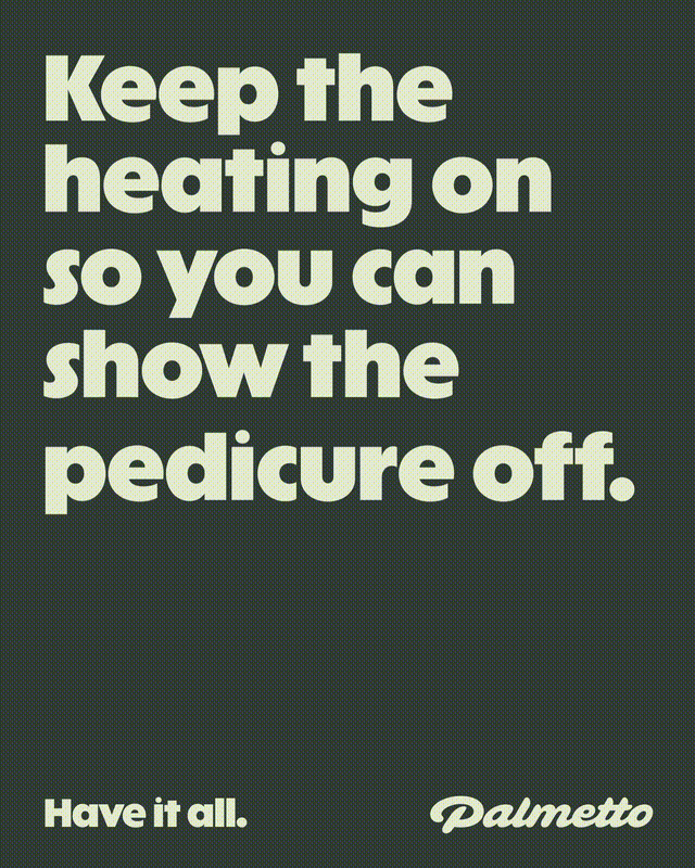 damijohnson com palmetto 3