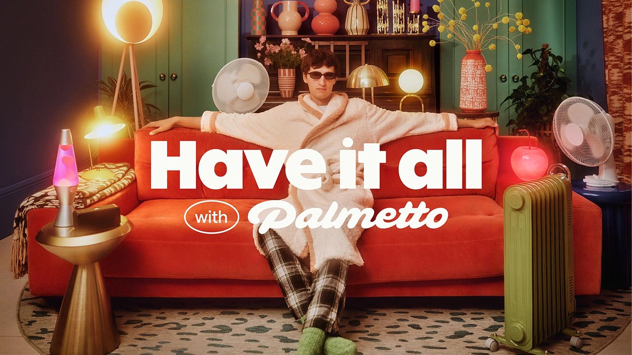 damijohnson com palmetto 4