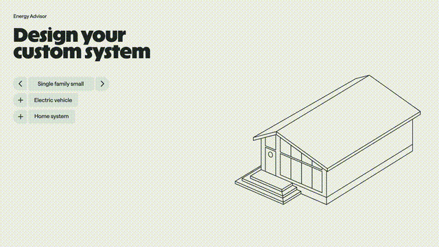 damijohnson com palmetto 5