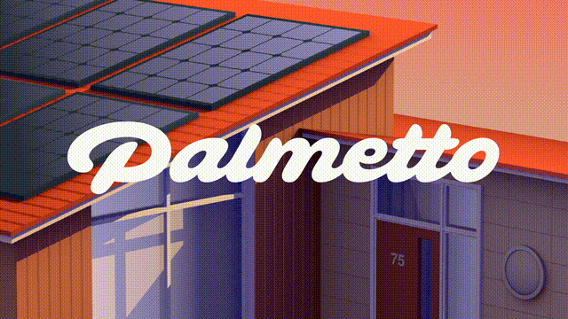 Palmetto 11 Palmetto