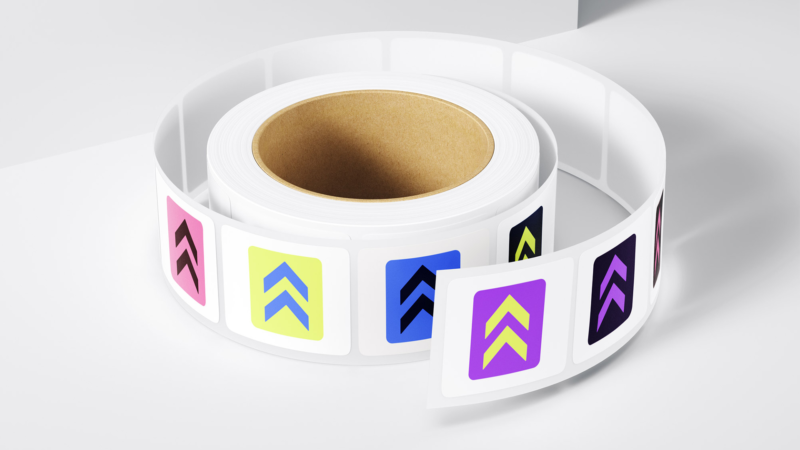 damijohnson com backmarket 19