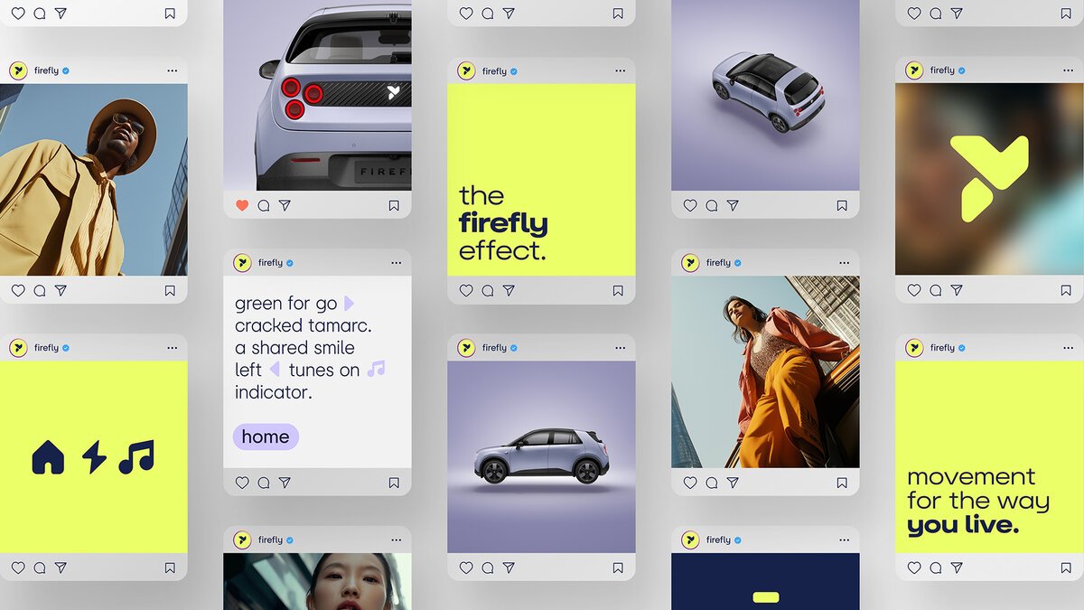 damijohnson com firefly 31