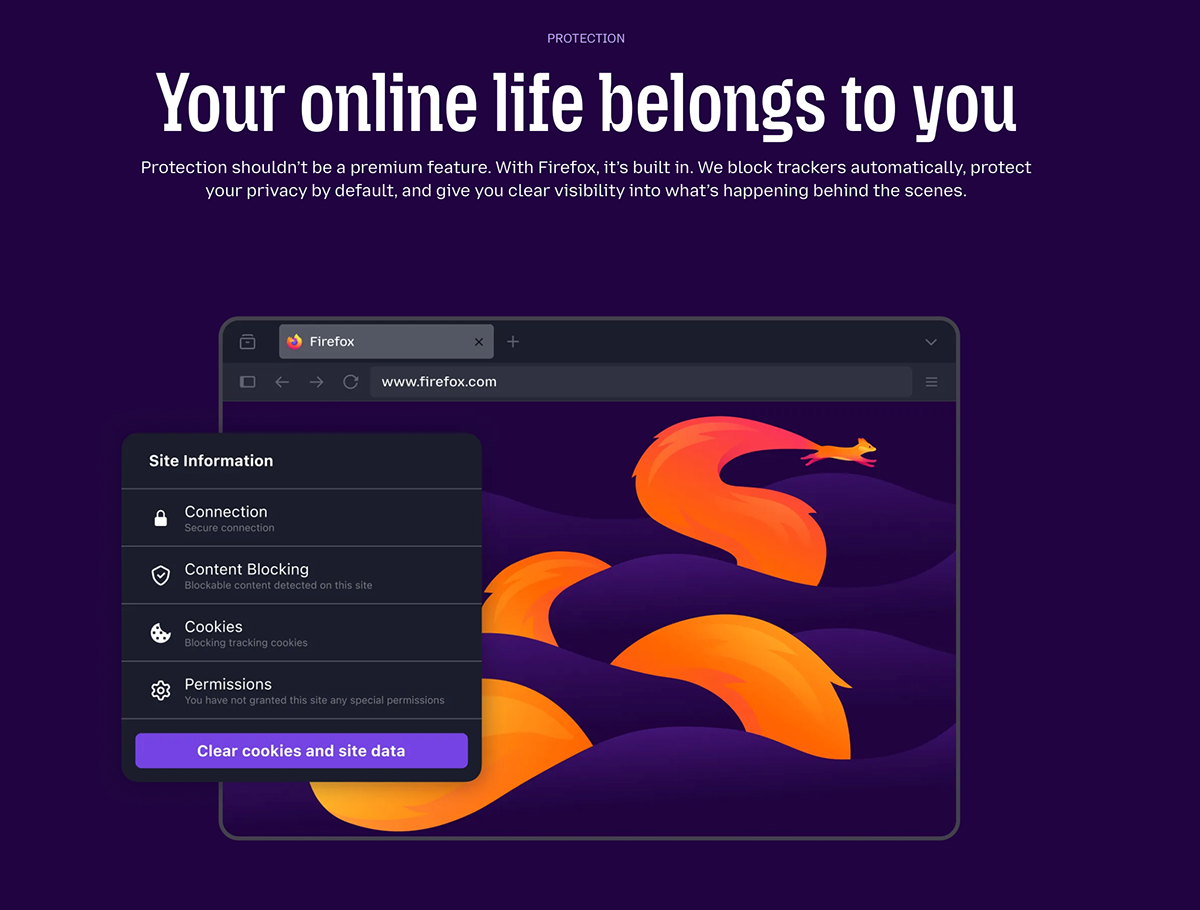 damijohnson com firefox 17
