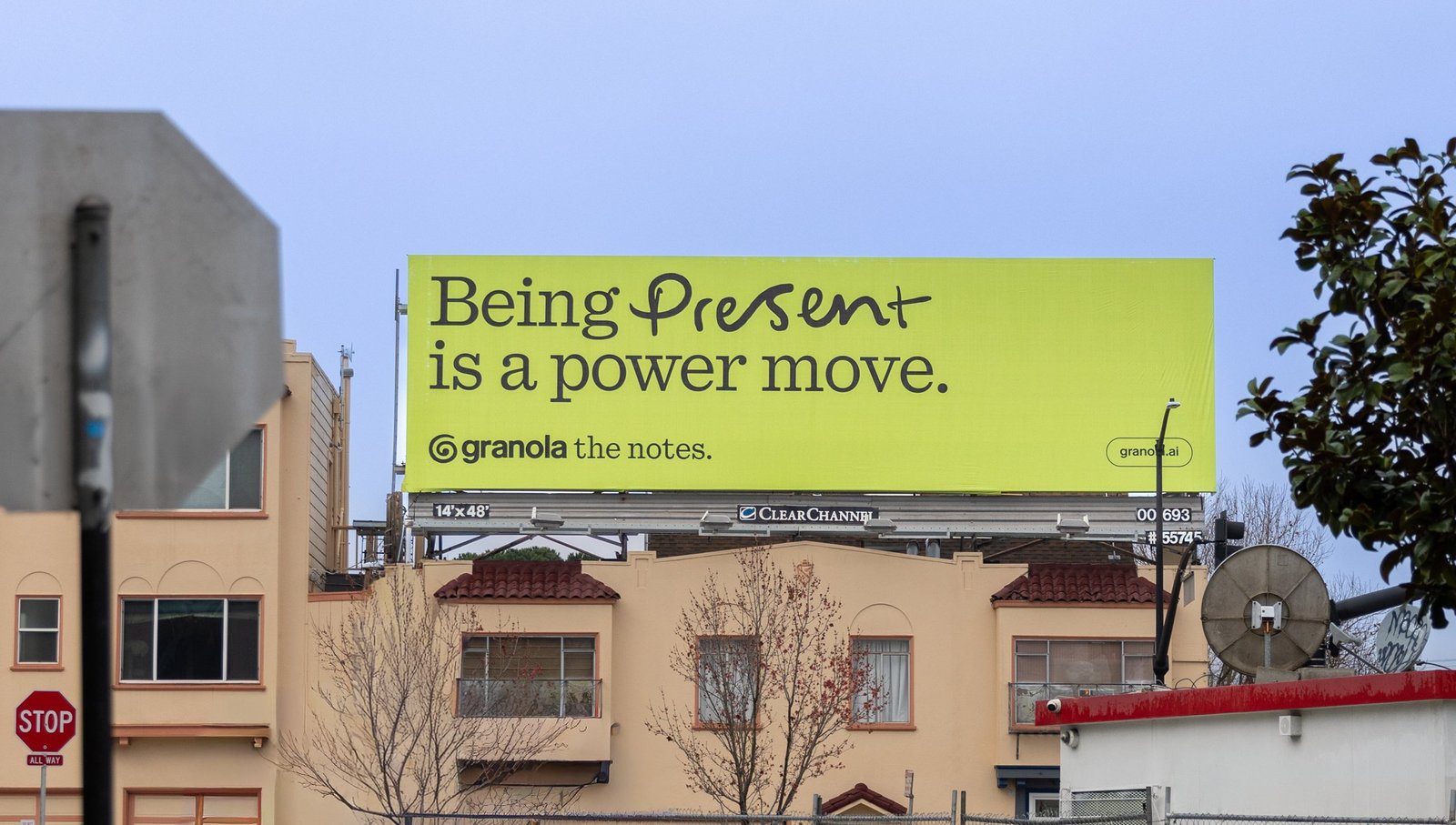 damijohnson com granola 1