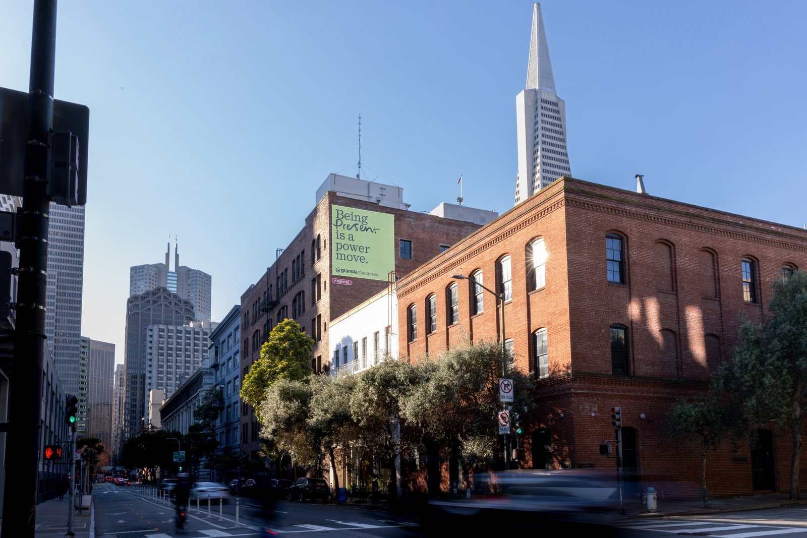 damijohnson com granola 12