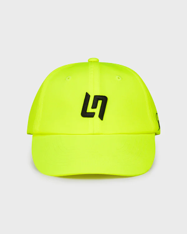 damijohnson com landonorris 13