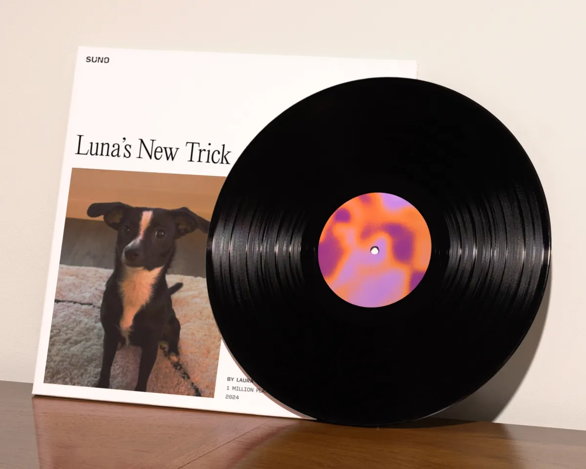 damijohnson com suno 17