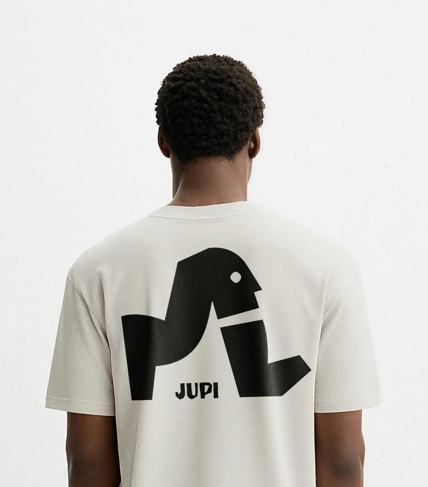 damijohnson com jupi 18