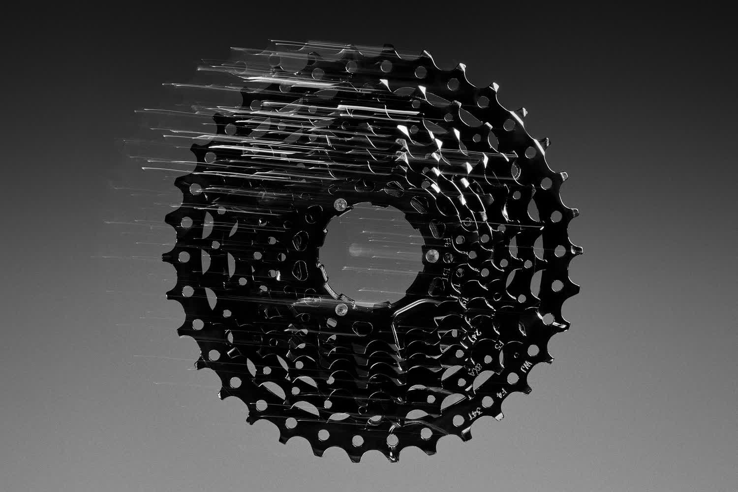 damijohnson com robinhood 11