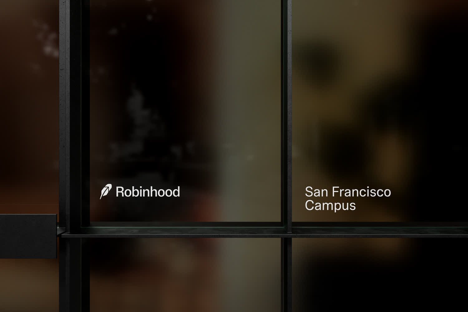 damijohnson com robinhood 29