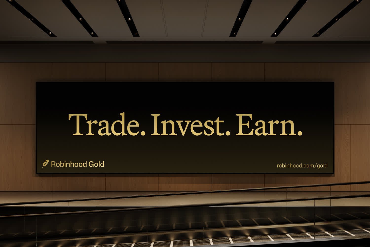 damijohnson com robinhood 34